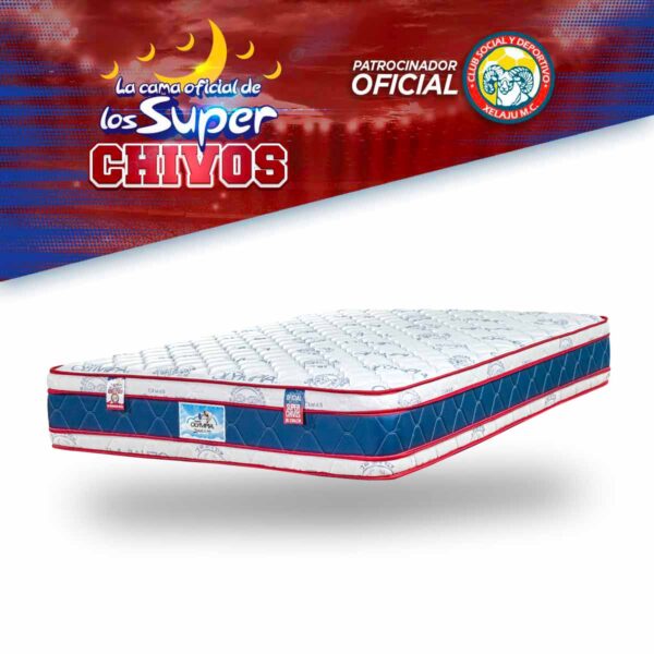 EE Super Chivos - Imagen 2