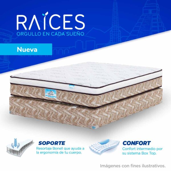 Raíces -  One Boxtop