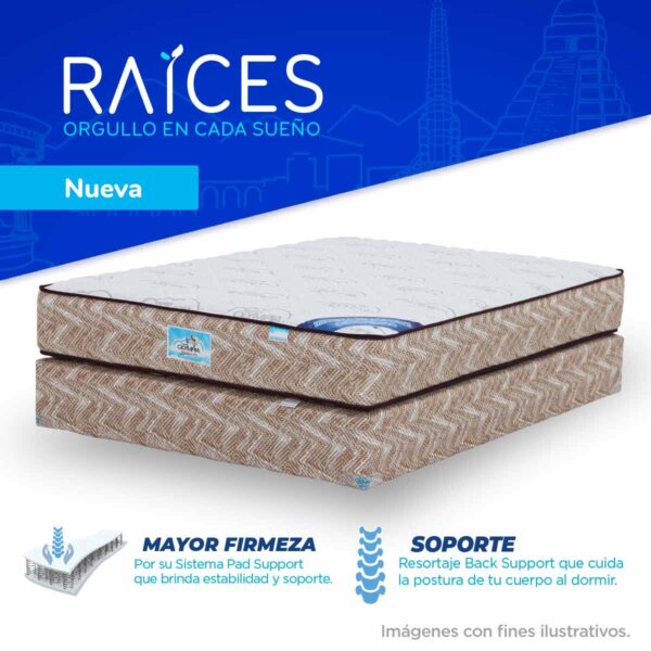 Raíces - Ortopédica