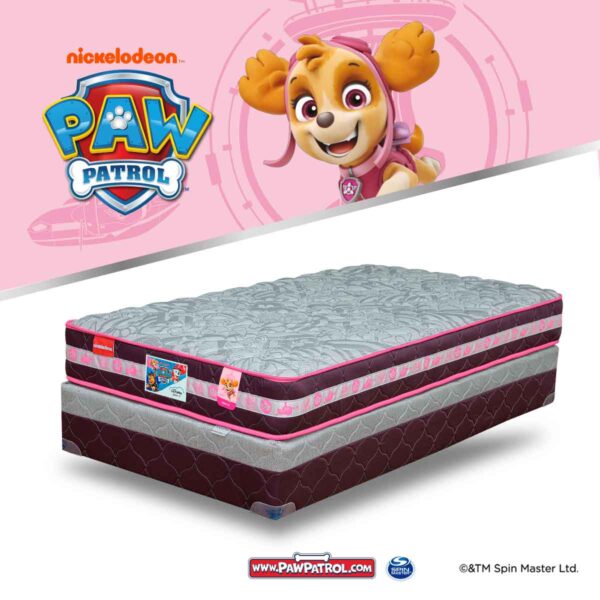 Liquidación Paw Patrol Skye