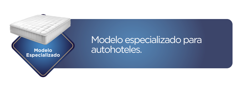 Modelos especializados